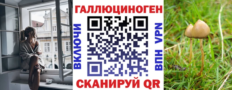 KRAKEN зеркало  где найти   Черняховск  Галлюциногенные грибы Magic Shrooms 