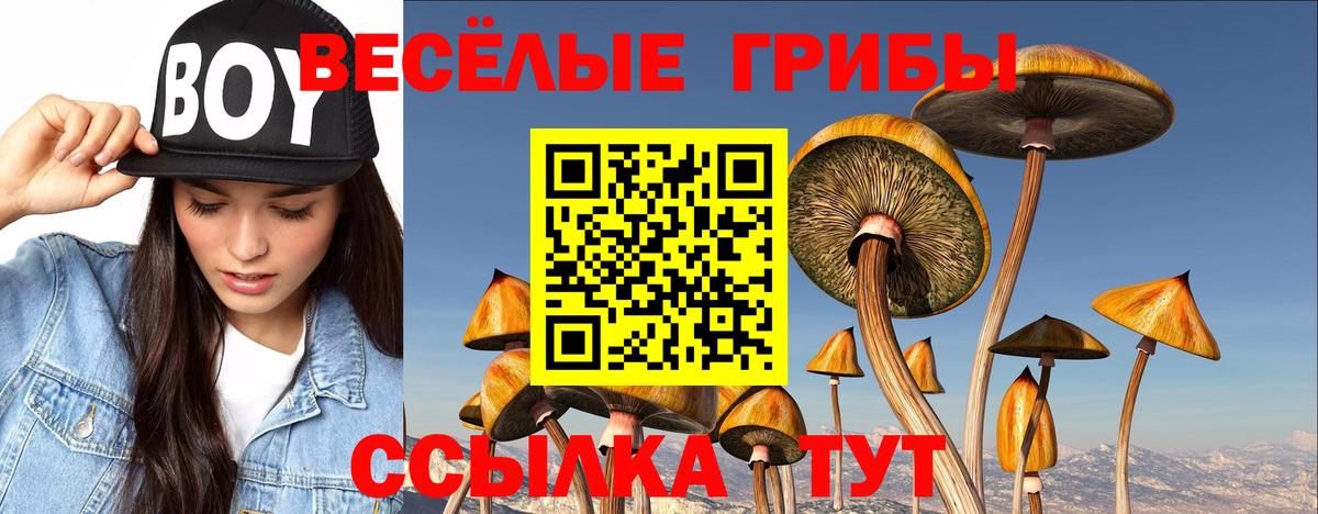 Галлюциногенные грибы прущие грибы  Псилоцибиновые грибы Cubensis  Черняховск  дарнет шоп  Вход с VPN 